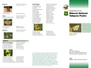 Midewin National Tallgrass Prairie Butterflies of the