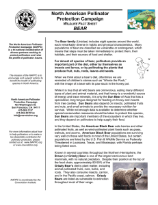North American Pollinator Protection Campaign  BEAR