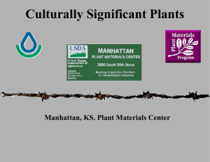 Culturally Significant Plants Manhattan, KS. Plant Materials Center