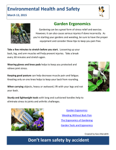 Environmental Health and Safety Garden Ergonomics March 13, 2015