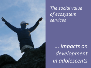 ... impacts on development in adolescents The social value