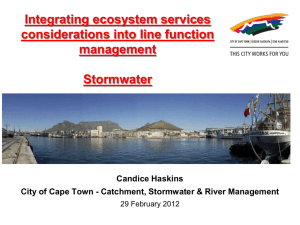 Integrating ecosystem services considerations into line function management