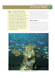 W Artificial Reefs 2C HAT ARE ARTIFICIAL REEFS?