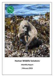 Human Wildlife Solutions Monthly Report February 2016