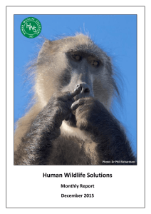 Human Wildlife Solutions Monthly Report December 2015