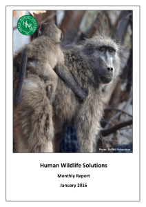 Human Wildlife Solutions Monthly Report January 2016