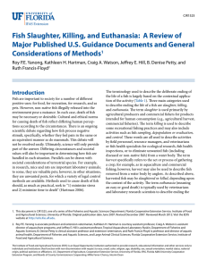 Fish Slaughter, Killing, and Euthanasia:  A Review of
