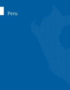 Peru 242 Trade policies, household welfare and poverty alleviation