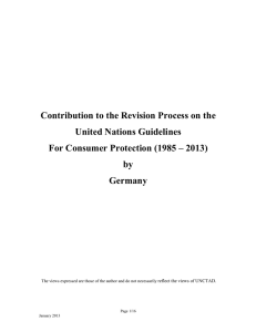 Contribution to the Revision Process on the United Nations Guidelines