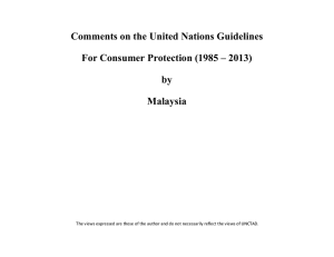 Comments on the United Nations Guidelines by Malaysia
