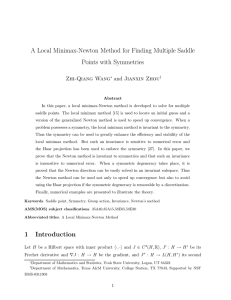 A Local Minimax-Newton Method for Finding Multiple Saddle Points with Symmetries
