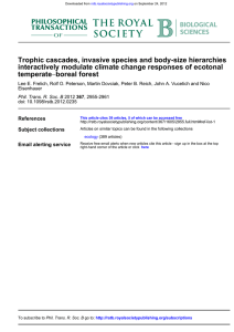 Trophic cascades, invasive species and body-size hierarchies