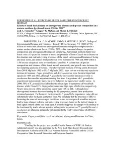 FORRESTER ET AL: EFFECTS OF BEECH BARK DISEASE ON FOREST BIOMASS