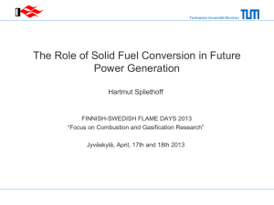 The Role of Solid Fuel Conversion in Future  Hartmut Spliethoff