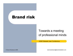 Brand risk Towards a meeting of professional minds 2008 Palisade User Conference