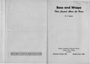 0 Bees and Wasps %Y So.
