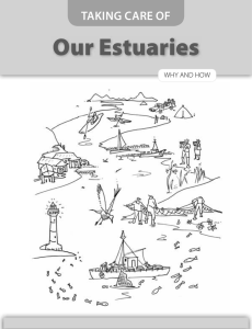 Our Estuaries TAKING CARE OF WHY AND HOW