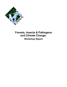 Forests, Insects &amp; Pathogens and Climate Change: Workshop Report Title