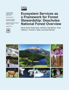 Ecosystem Services as a Framework for Forest Stewardship: Deschutes National Forest Overview