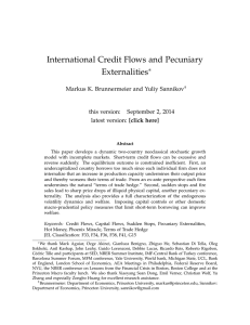 International Credit Flows and Pecuniary Externalities ∗ Markus K. Brunnermeier and Yuliy Sannikov