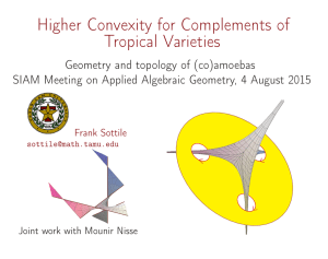 Higher Convexity for Complements of Tropical Varieties Geometry and topology of (co)amoebas