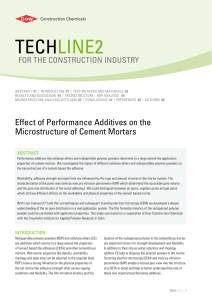 tECh LINE2 Effect of Performance Additives on the Microstructure of Cement Mortars