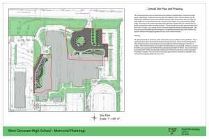 Overall Site Plan and Phasing