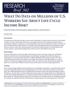 What Do Data on Millions of U.S. Income Risk?