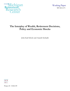 The Interplay of Wealth, Retirement Decisions, Policy and Economic Shocks Working Paper