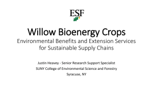 Willow Bioenergy Crops Environmental Benefits and Extension Services for Sustainable Supply Chains