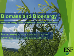 Biomass and Bioenergy Justin Heavey