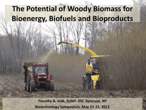 The Potential of Woody Biomass for Bioenergy, Biofuels and Bioproducts