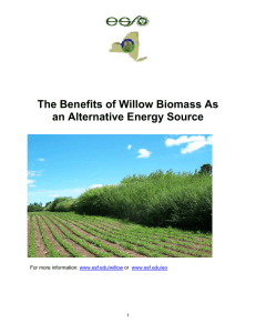 The Benefits of Willow Biomass As an Alternative Energy Source