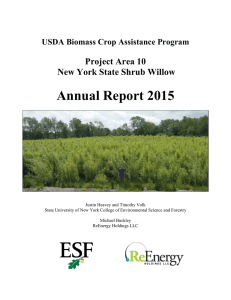 Annual Report 2015 Project Area 10 New York State Shrub Willow