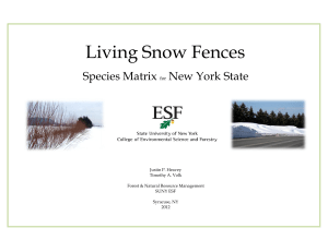 Living Snow Fences Species Matrix New York State for