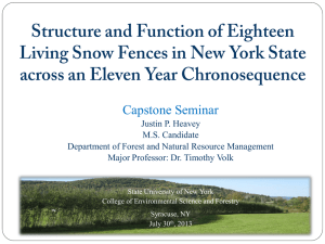 Capstone Seminar