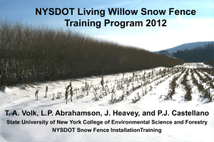 NYSDOT Living Willow Snow Fence Training Program 2012