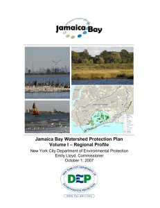 Jamaica Bay Watershed Protection Plan Volume I – Regional Profile