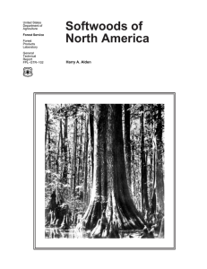 Softwoods of North America Harry A. Alden United States