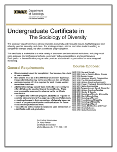 Undergraduate Certificate in The Sociology of Diversity