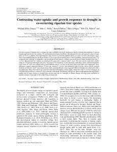 Contrasting water-uptake and growth responses to drought in Michael Bliss Singer,