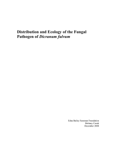 Distribution and Ecology of the Fungal Dicranum fulvum  Edna Bailey Sussman Foundation
