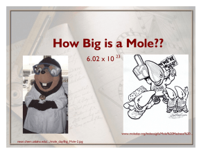 How Big is a Mole?? 6.02 x 10 23 www.moleday.org/htdocs/gifs/Mole%20Madness%20...