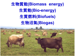 (Biomass  energy) (Bio-energy) (Biofuels) (Biogas)