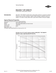 WALOCEL™ CRT 20000 PV