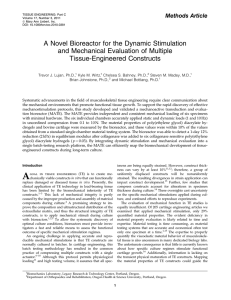 A Novel Bioreactor for the Dynamic Stimulation Tissue-Engineered Constructs