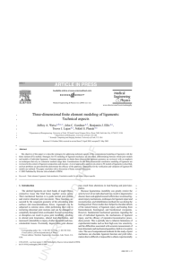 Three-dimensional finite element modeling of ligaments: Technical aspects Jeffrey A. Weiss