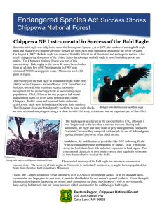 Endangered Species Act Success Stories Chippewa National Forest