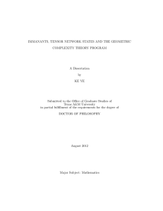 IMMANANTS, TENSOR NETWORK STATES AND THE GEOMETRIC COMPLEXITY THEORY PROGRAM A Dissertation by