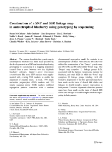 Construction of a SNP and SSR linkage map .